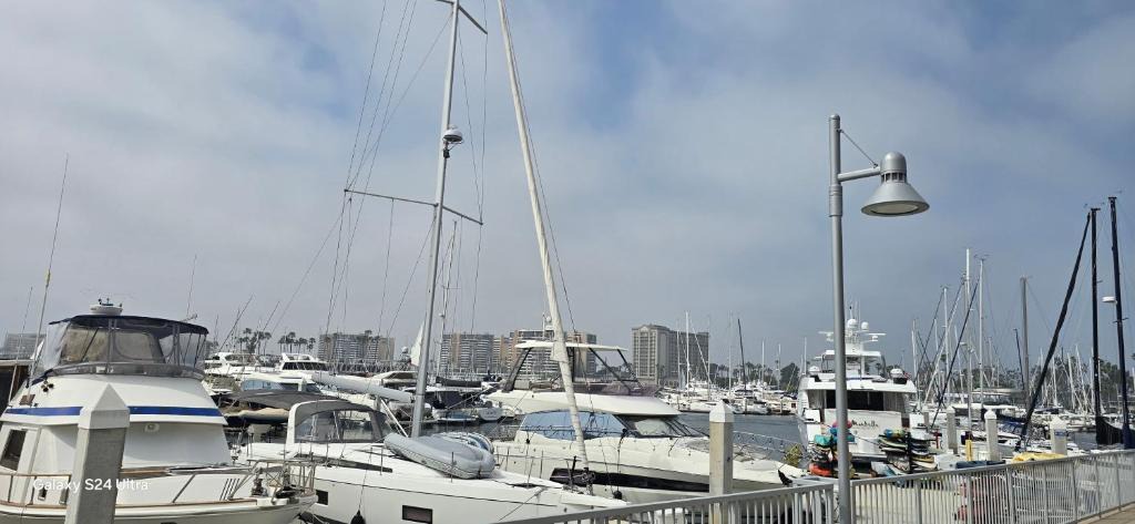 Venice Apartment | 1-Bedroom Apartment near ALX Airport and the Ocean