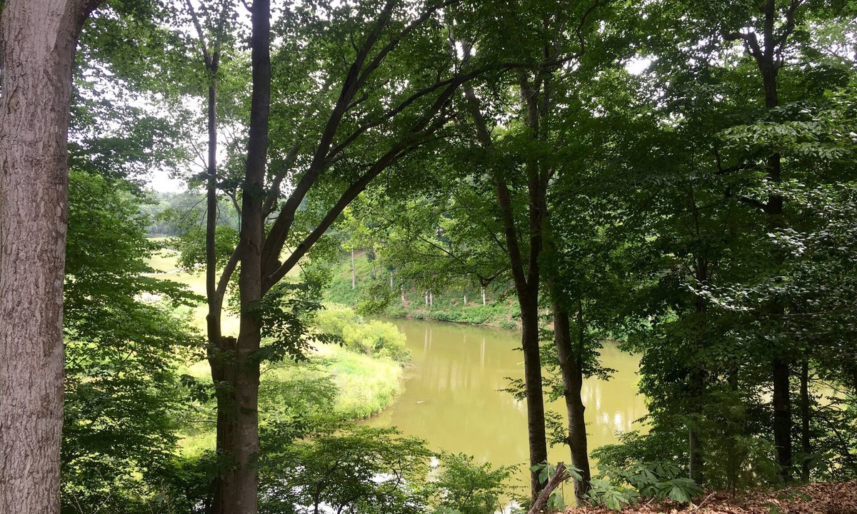 Kingsmill Condo | 1 BR Kingsmill Resort Condo minutes to Colonial Williamsburg!