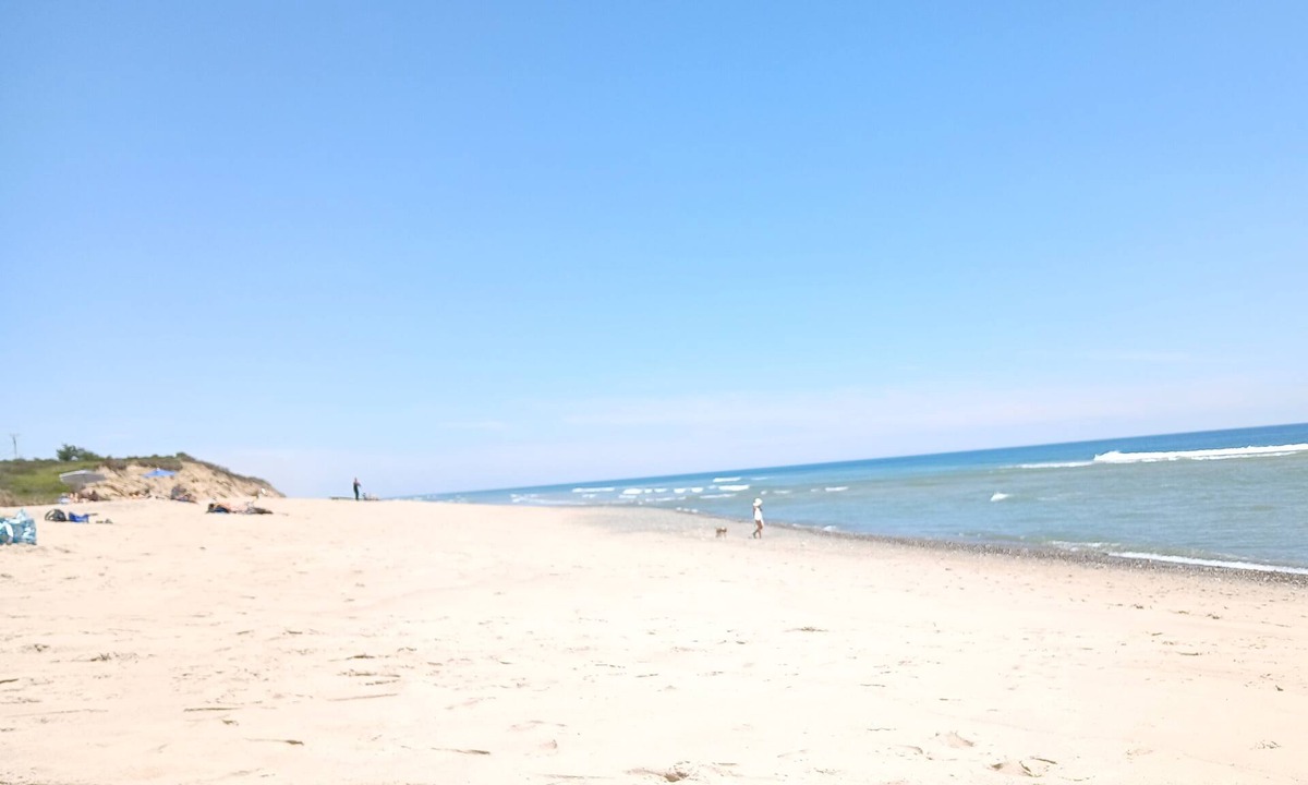 Eastham House | 1 mile to Coast Guard beach! Friendly 4-bedroom house with AC & large yard