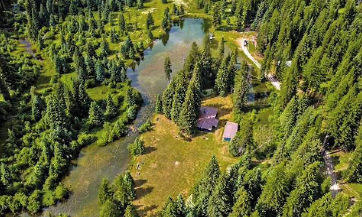 Bigfork House | 1920 Montana Quiet Log Cabin! Creek, fire pit, 10 ac. of wilderness/Swan Valley