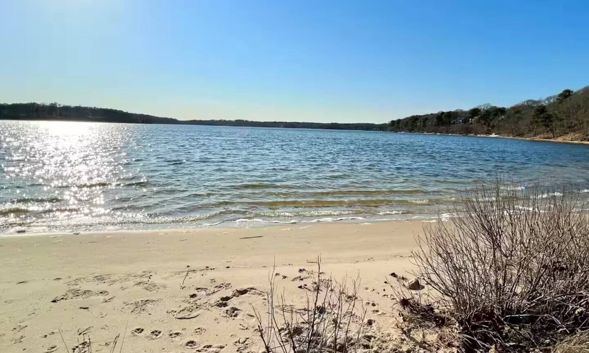 South Dennis Cottage | 2 Bedroom Waterview Cottage w/water activity access out your front door