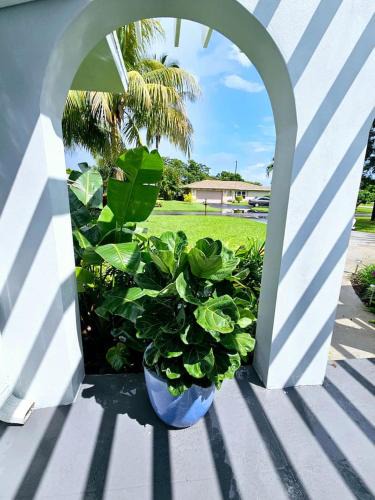 Tropic Palms House | 3/2 Tranquil Home close to Beach