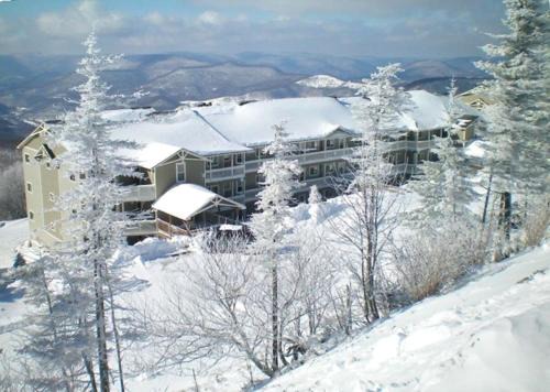 Edray Apartment | 301 D Summit Dr. , Snowshoe Mountains, WV 26209