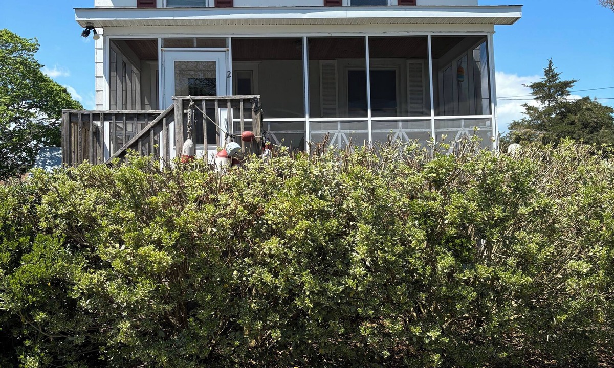 Wachapreague House | 3BR-Wachapreague seaside village rental is ideal for relaxation and adventure.