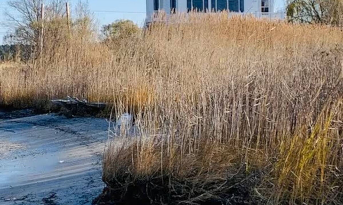 Madison House | Amazing views waterfront 3-bedroom home in Madison with a 190 foot pier!