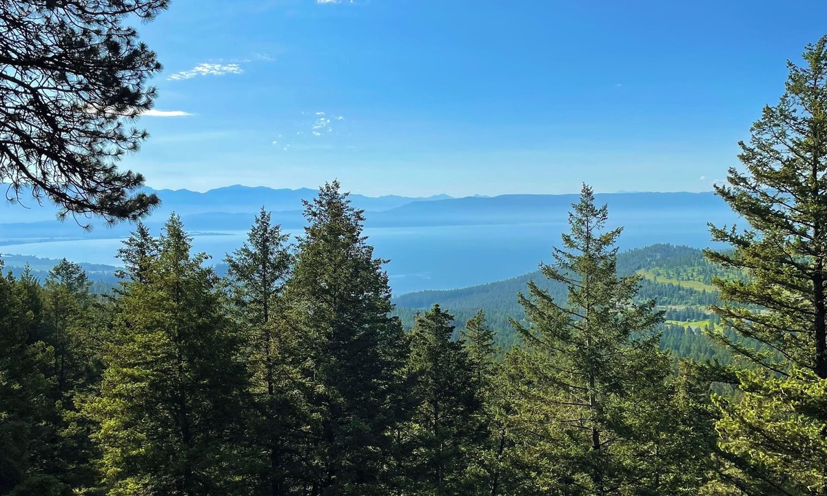 Somers Cabin | Authentic Hand-Crafted Mountain Cabin w/Amazing Lake View !
