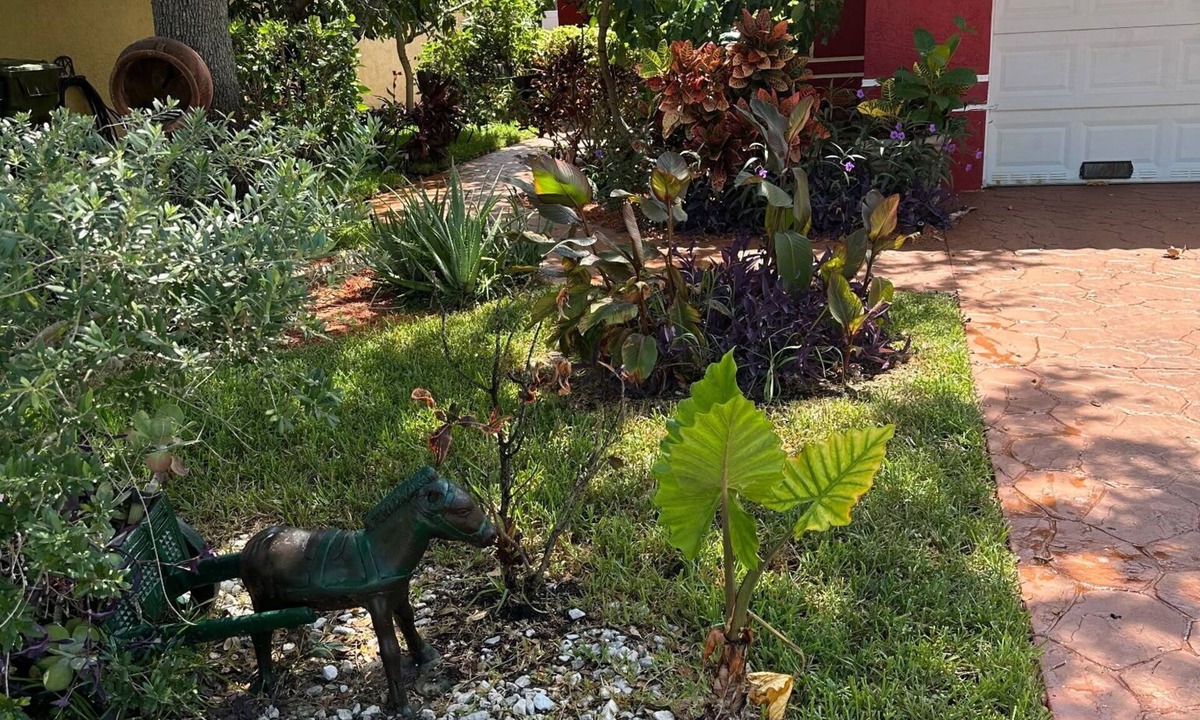 Central Fort Lauderdale House | baynefamilywithloveflorida