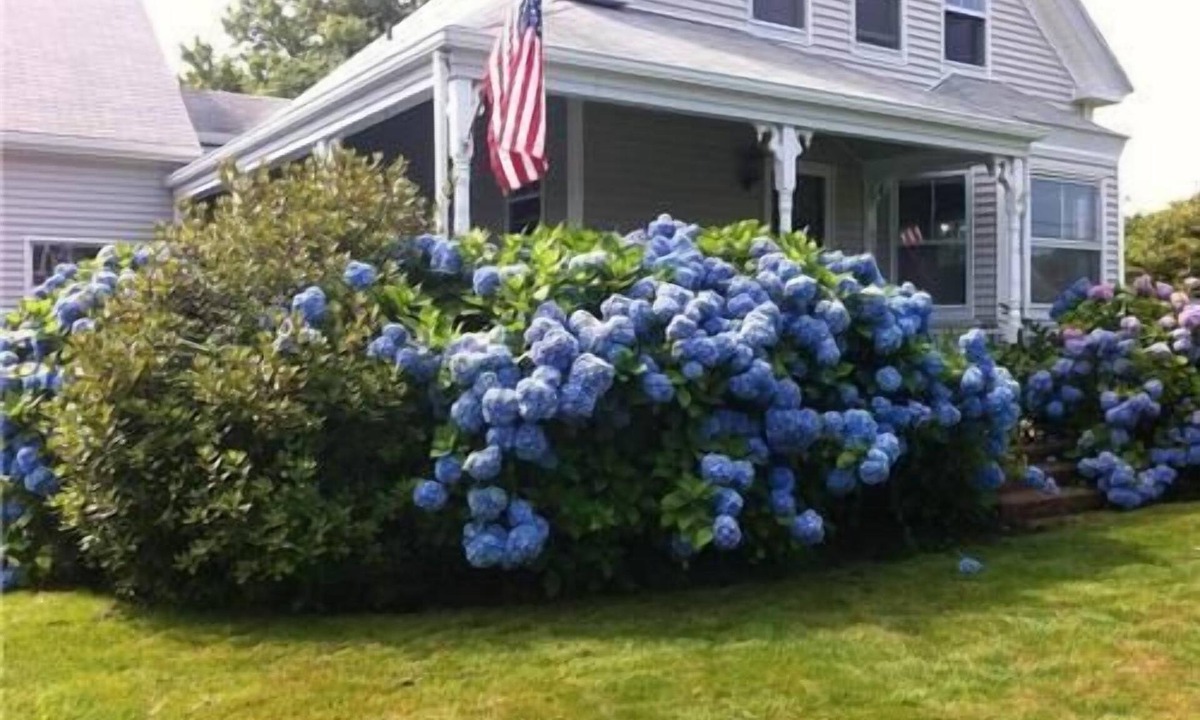 Chatham House | Beautiful Home In Chatham, MA. Private Pool. 2 Min Walk to Town, 8 to Beach! A/C