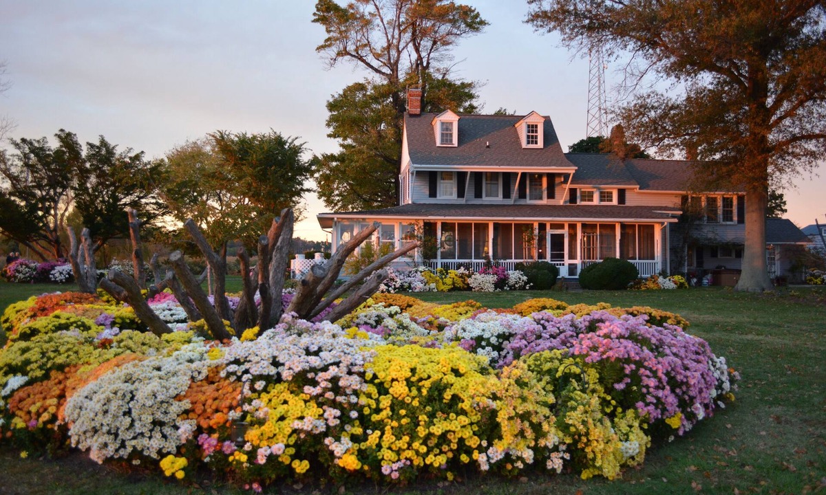 Tilghman Bed & Breakfast | Black Walnut Point Inn