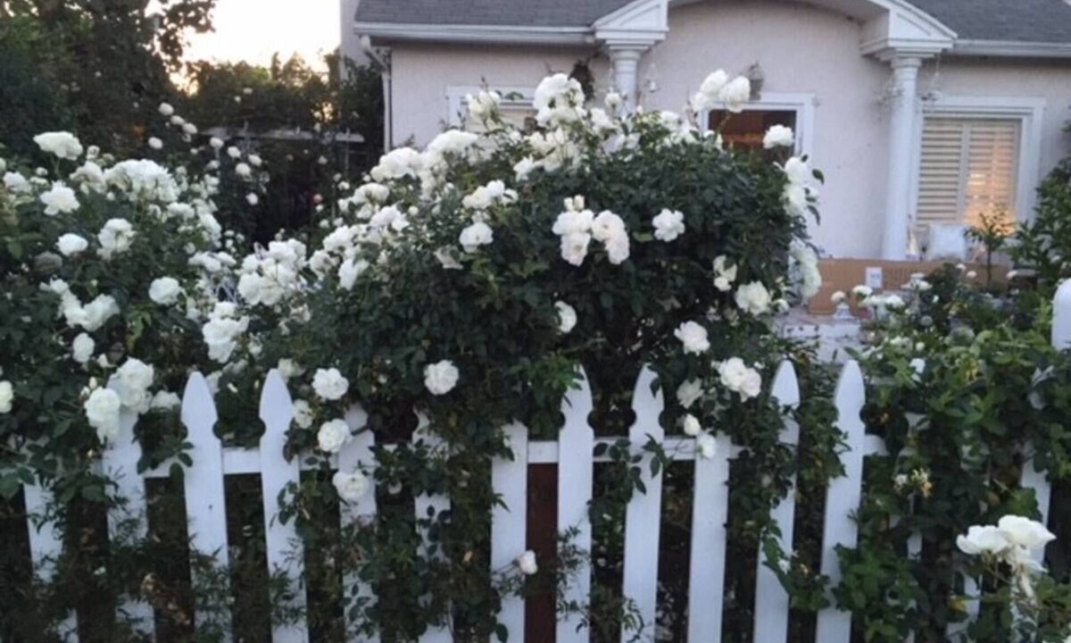 Venice House | California Dreaming! Elegant White Cottage, Venice Beach Happy holidays here!