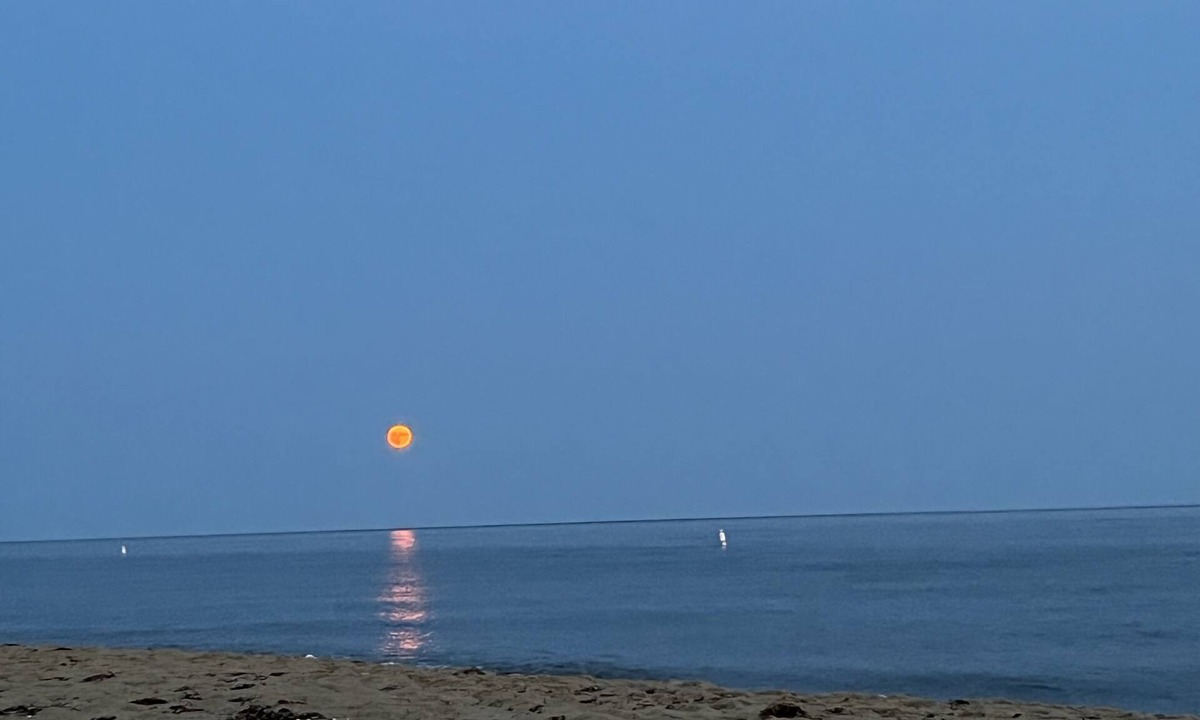 Mews Village House | Cape Cod/New Seabury Townhouse-4 Seasons!nWalk to Beach!