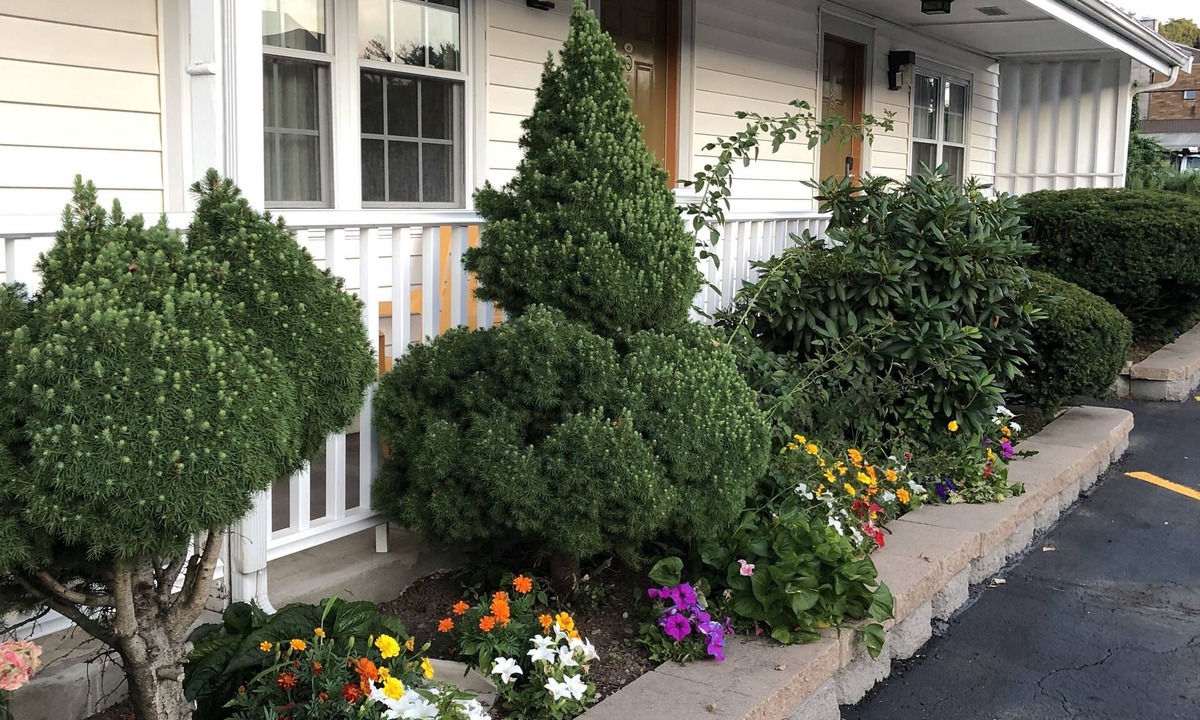 Saugus Hotel | Chisholms Motor Inn