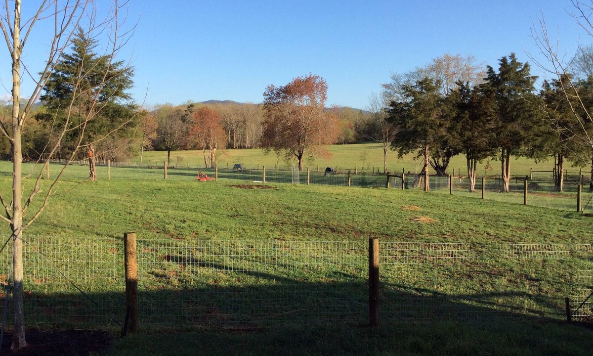 Free Union Cottage | Country Bungalow close to Charlottesville, Wineries & Breweries
