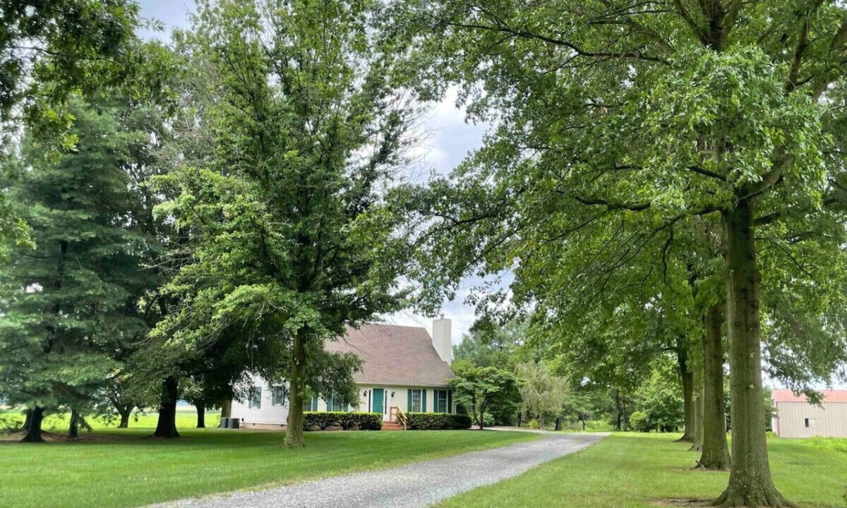 Galena House | Countryside Cottage in Sassafras