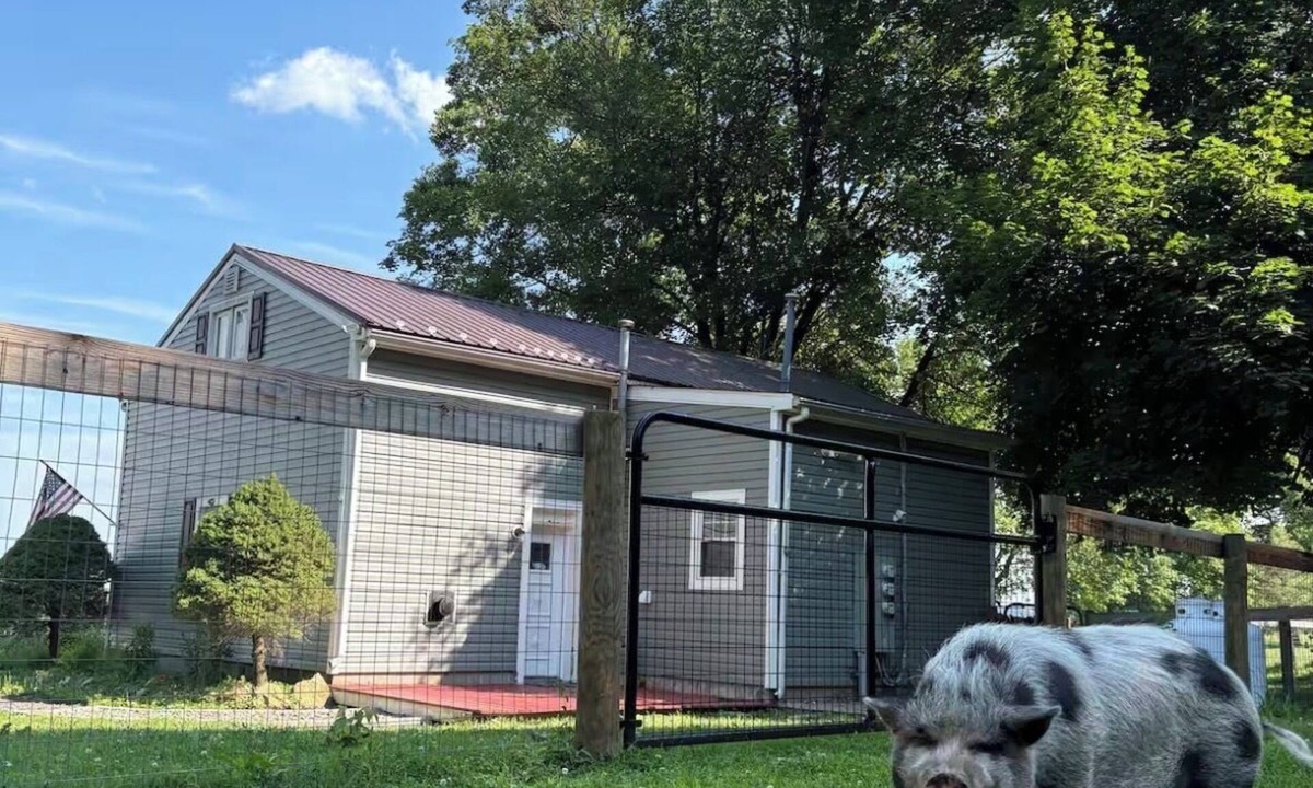 Kemblesville Apartment | Cozy 1-bedroom apartment in Lincoln University