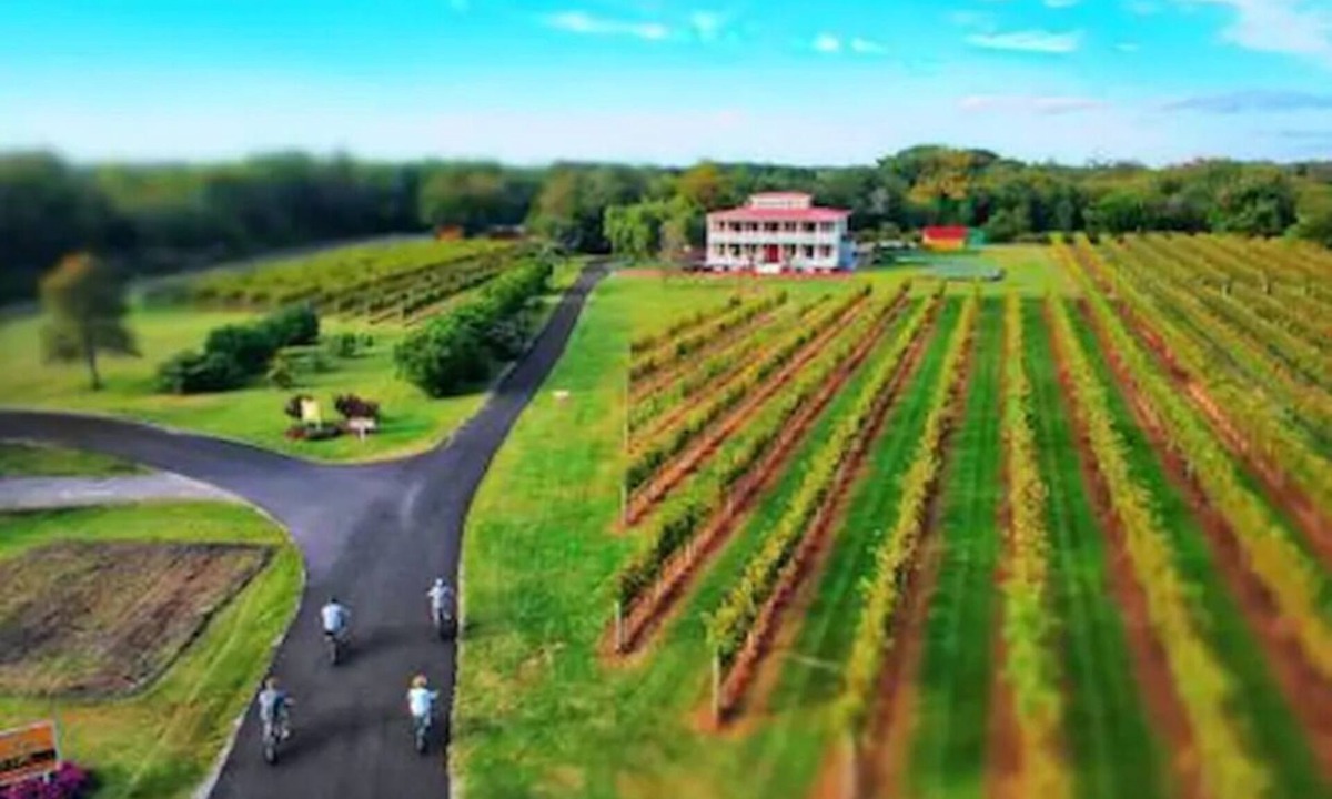 West Cape May Apartment | Cozy Chambourcin Cottage at Willow Creek Winery