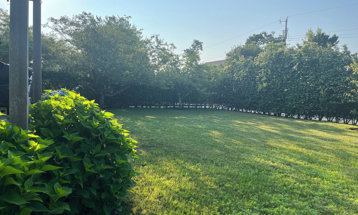 West of Town House | Cozy on Nantucket. Walk to golf and brewery ! Jeep rental available.