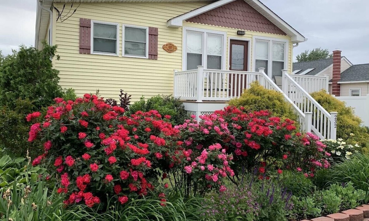 Villas House | Delightful DOG FRIENDY Vacation Home by the Bay for Couples and Families.