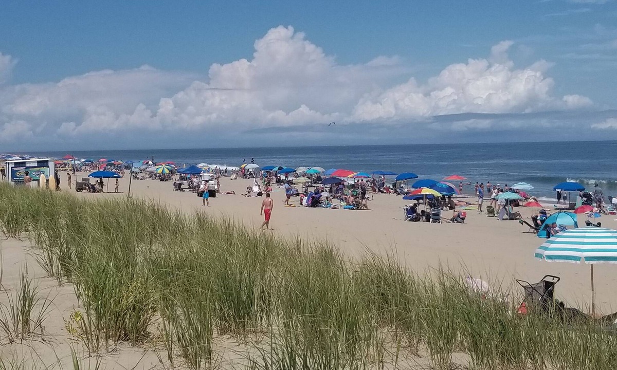 Rehoboth by the Sea House | Dewey Beach Get-Away! 309 steps to Beach & Bay; Walk to 23 bars & restaurants