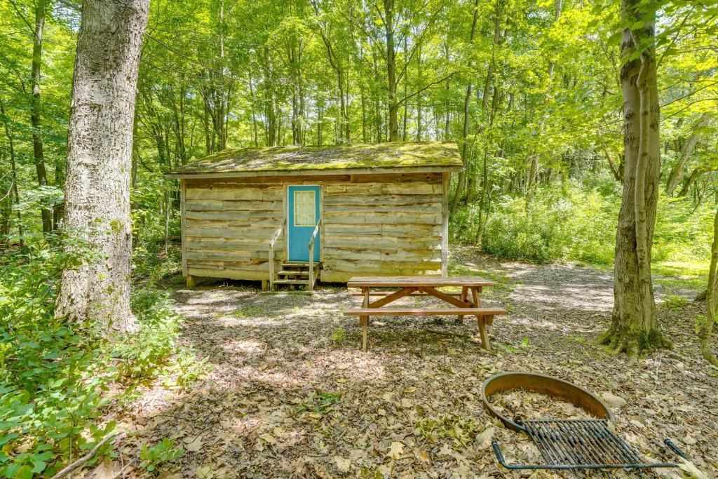 Bliss House | Fish, Slide & Unwind: Letchworth Valley Cabin!
