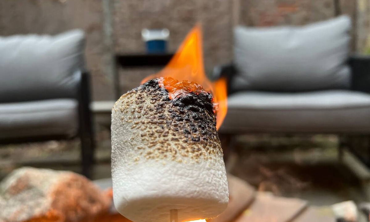 Albany Apartment | Garden Apartment in Center Square, Walkable & Fire Pit for Summer Nights!
