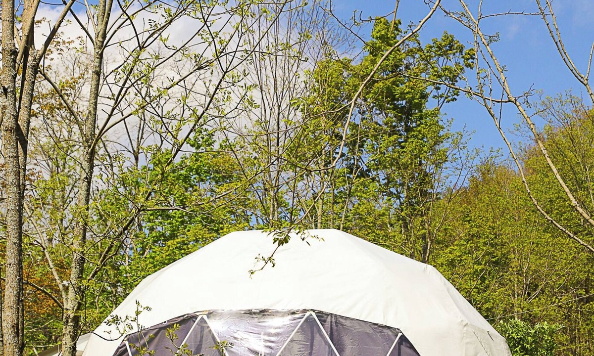Edray House | Glamping Dome # 2 in Snowshoe, Wv