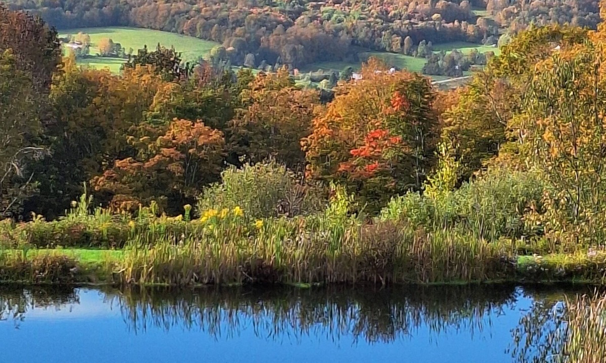 Jefferson House | Gorgeous property tucked in the Catskill Mts, with secluded breathtaking views.