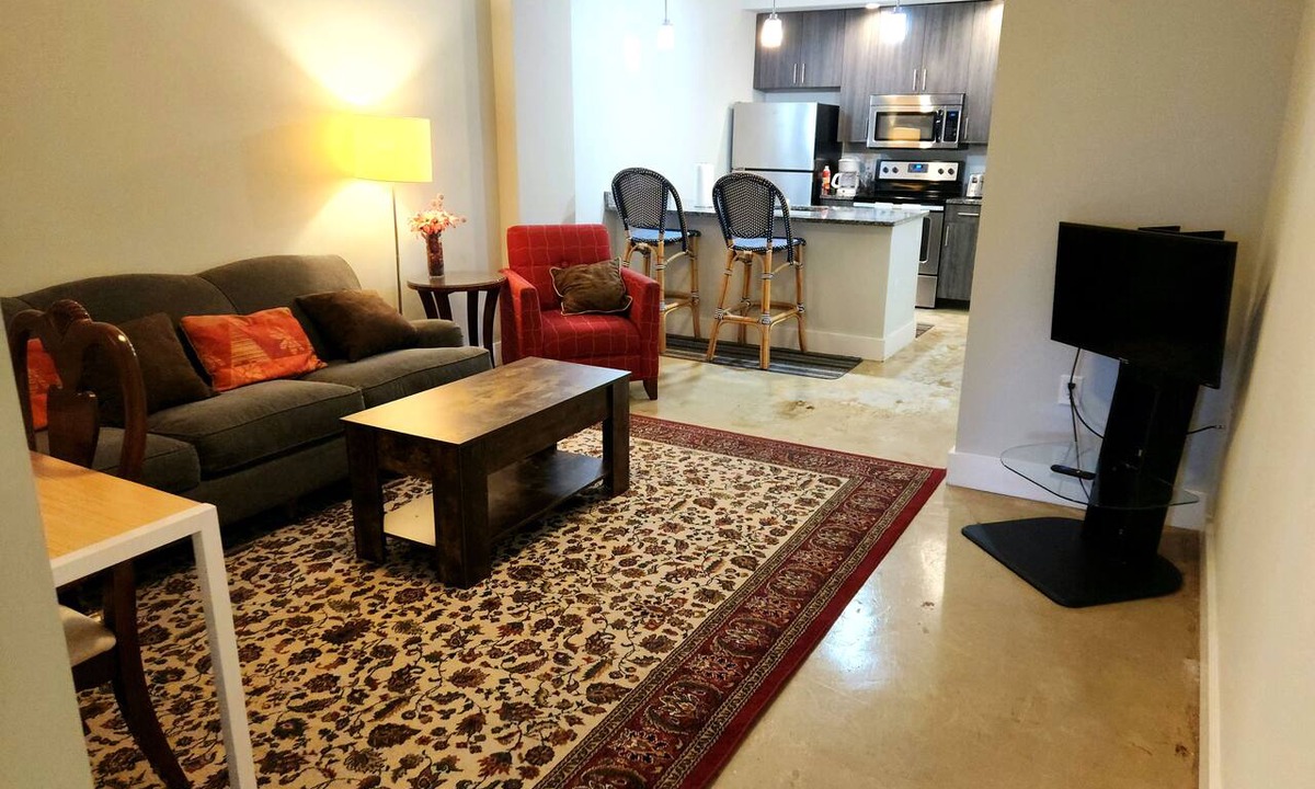Monroe Ward Condo | Heart of RVA Arts District Walk to VCU, MCV, The National, Quirk Prime Downtown