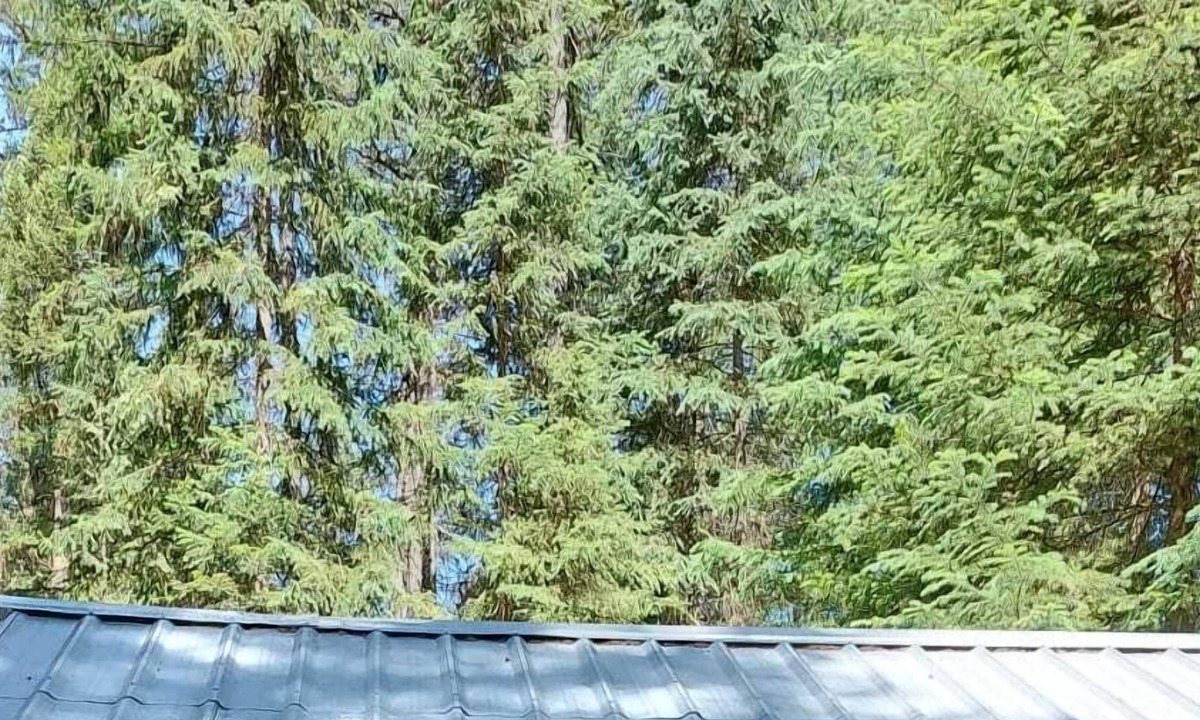 Olney RV Rental | Hideaway Hut 2/ 1 Queen and 1 Bunkbed