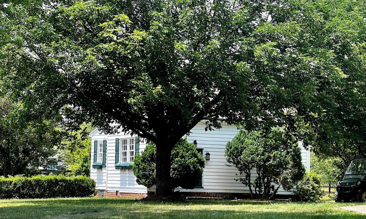 Cobham Cottage | Historic, Quaint Bungalow #157 Pool a National & Virginia Landmark