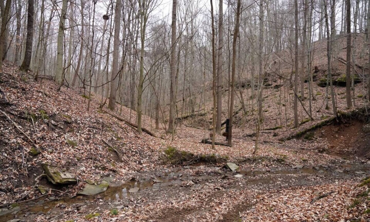 Watertown Cabin | Honey Hole