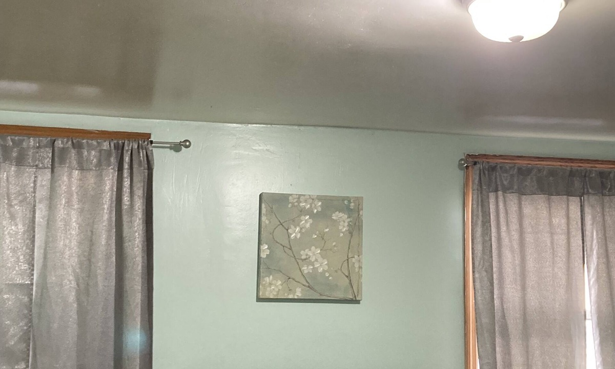 Albany Apartment | Lovely apartment at downtown Albany for 63 a night