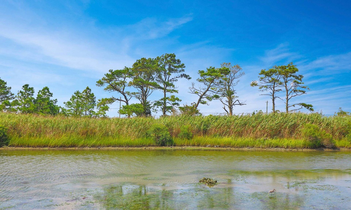 Chincoteague House | Marsh Point | Marsh Views + Shared Dock, Screened Porch Dining, Cozy Island Townhome