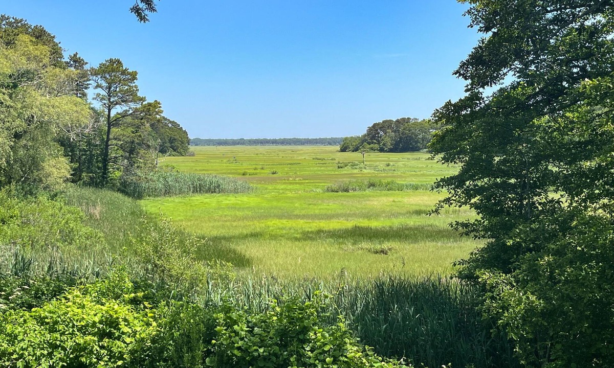 Yarmouth Port House | Marsh View 4 You: Spacious Retreat, near Beach, Salt Marsh View: Backyard Oasis