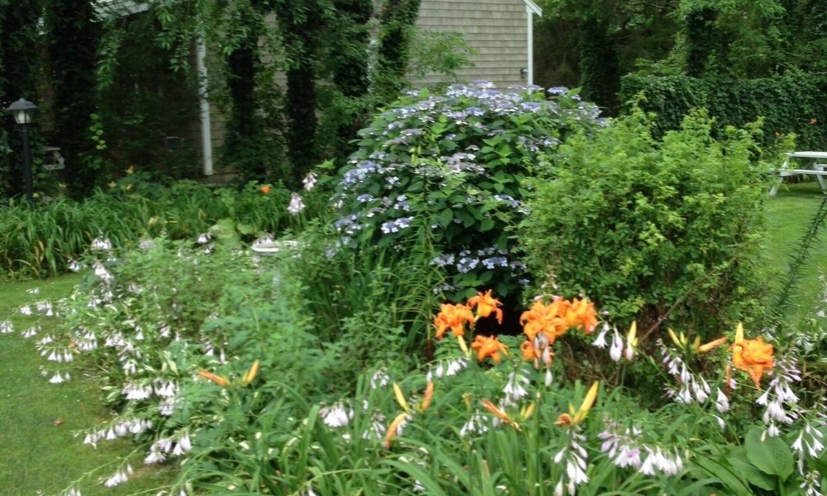 South Yarmouth House | McCormick Cottages - Efficiency