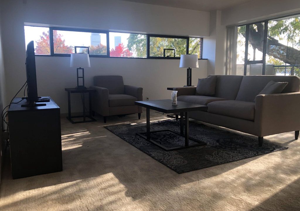 East Cambridge Apartment | Memorial Drive 30 Day Rentals One Bedroom