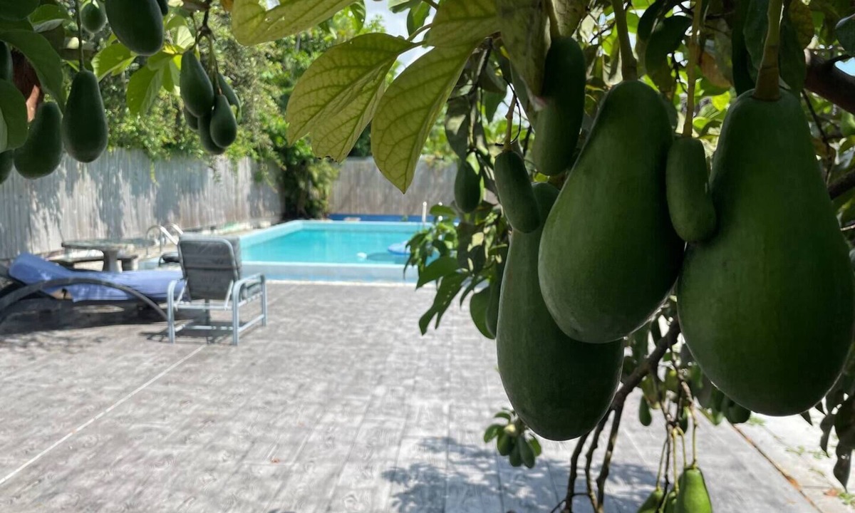 Ives Estates House | Miami Private Home with Large Pool