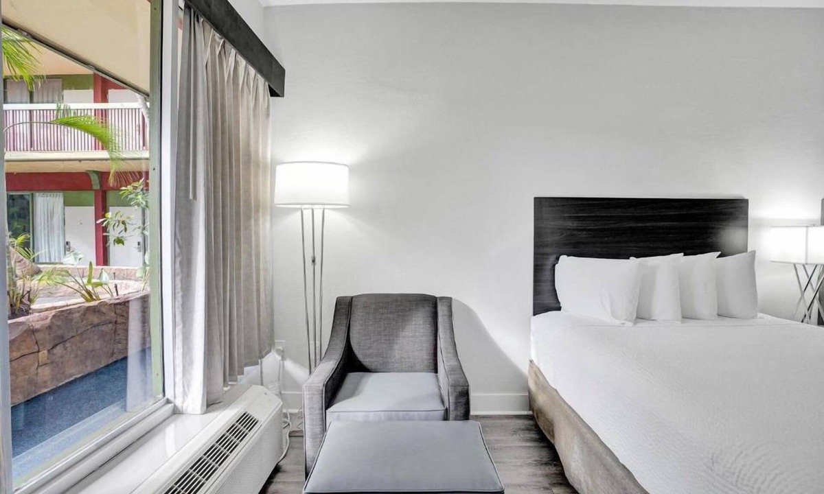 Downtown Hollywood Hotel | Modern Stay Near Hollywood Beach w/Pool, Gym & Free Breakfast