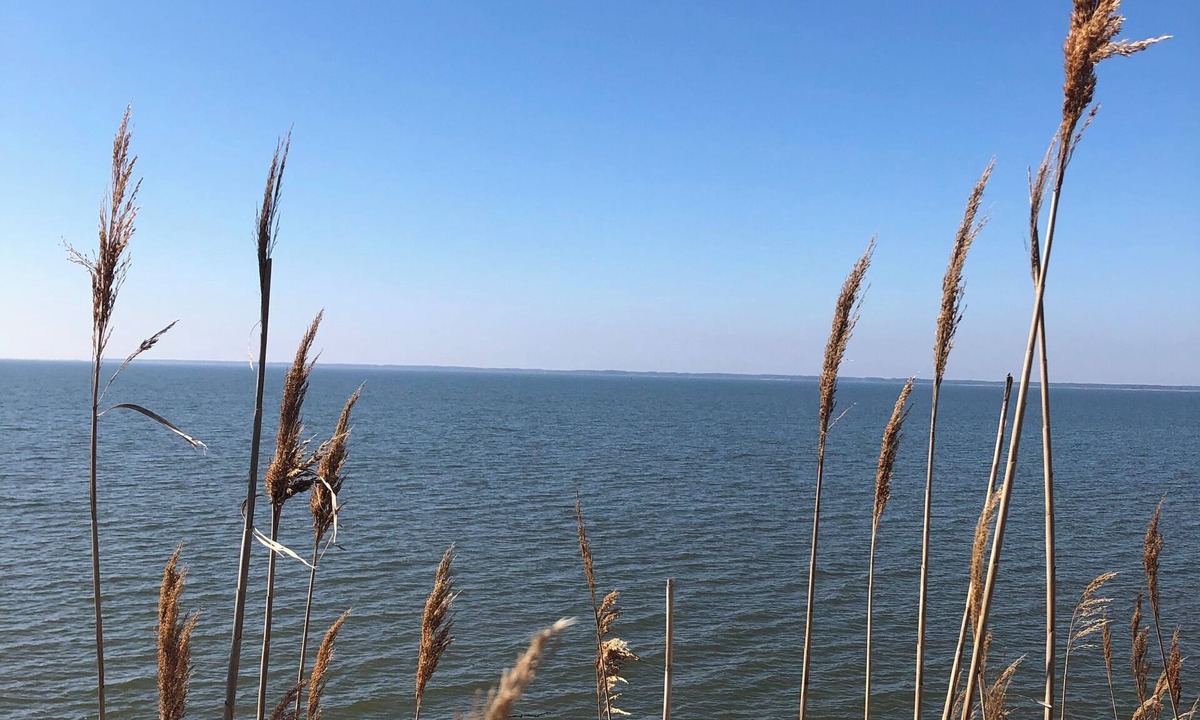 Saxis Cottage | Near Chincoteague & Assateague Island Charming 2-bedroom cottage