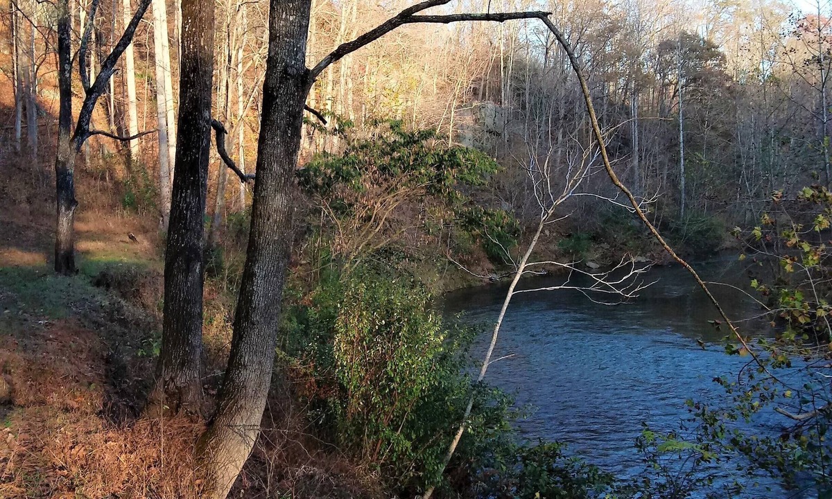 Faber House | New Cabin on the Rockfish! Healing River Sounds Day and Night! Heart of Nelson!
