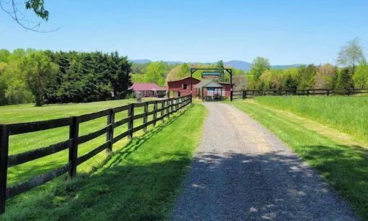 Brightwood Ski Chalet | New pickel ball court! basketball and putt putt too!