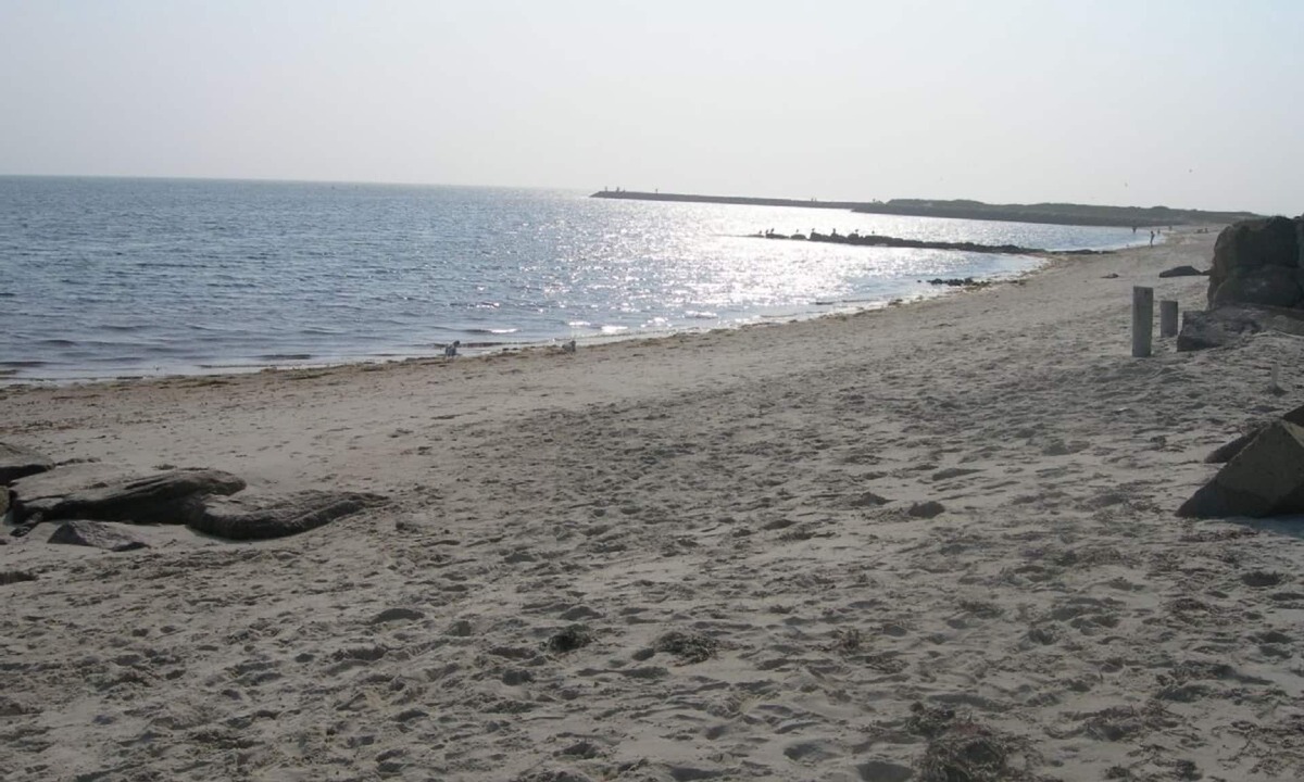 South Yarmouth House | OCEANFRONT, PRIVATE BEACH AND DECK, AMAZING VIEWS, KAYAKS, 2 Story House, 4+BR