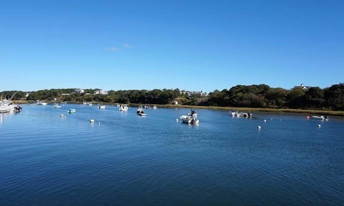 West Chatham House | On the water with amazing views! Dogs welcome! RPMS014