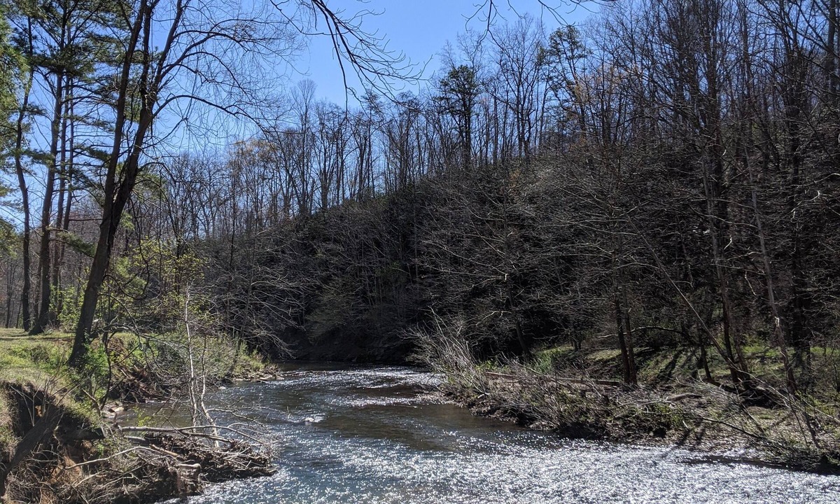 Faber Cabin | Peacefull, private Cabin! 140 acres,mile of river trails! 10 minutes to Rt.151!