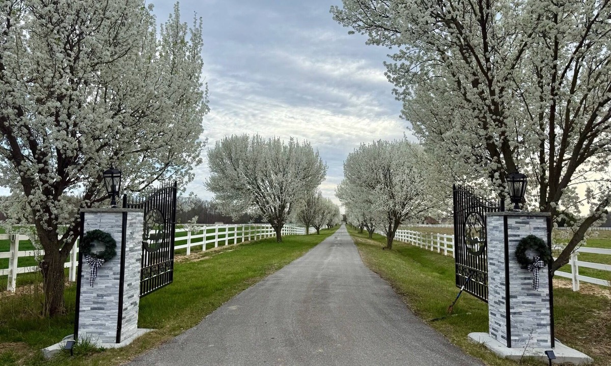 Hancocks Bridge House | Private 3BR Farmhouse on Estate with Event Space, Horses,Trails, Ponds & Orchard