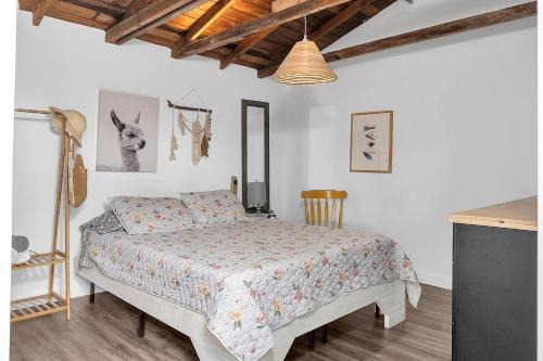 Coral Way Apartment | Private Studio Cabin steps from Calle 8