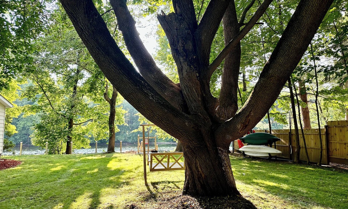 Mount Marion House | Private Waterfront Oasis-Hot Tub-Sauna-Fire Pit-Paddleboard