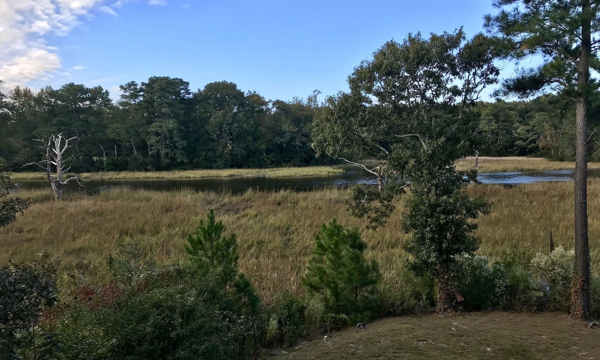 Princess Anne Apartment | Relax on River just south of Salisbury- recently back from long term stays.