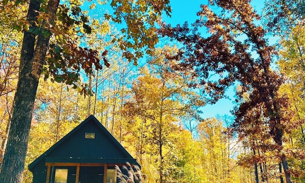 Barboursville Cottage | Relaxing cottage in the woods just minutes from wineries,hiking,restaurants.