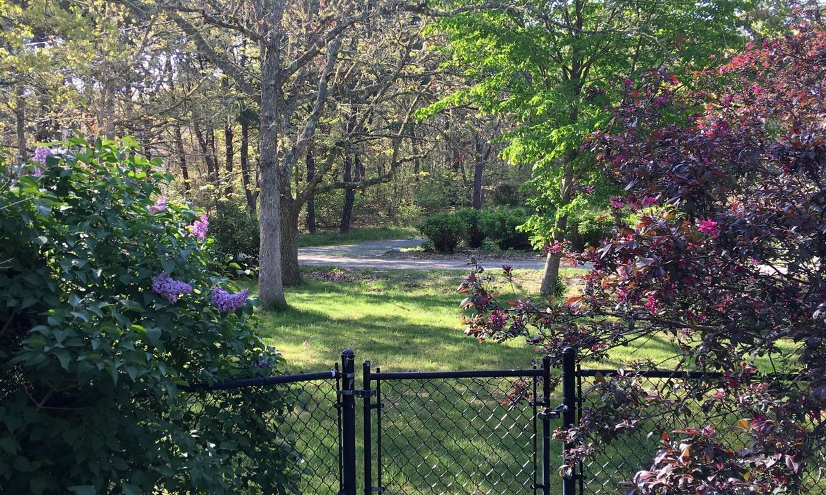 West Chatham House | Relaxing, peaceful area close to beaches, downtown Chatham, and walking trails.